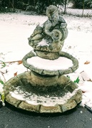9th Feb 2020 - Fountain of Frost