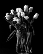 9th Feb 2020 - white roses