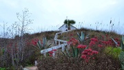 9th Feb 2020 - 22 steps to the Little Chapel on the Dunes