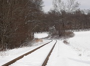 6th Feb 2020 - Snowy Tracks