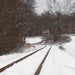 Snowy Tracks by julie