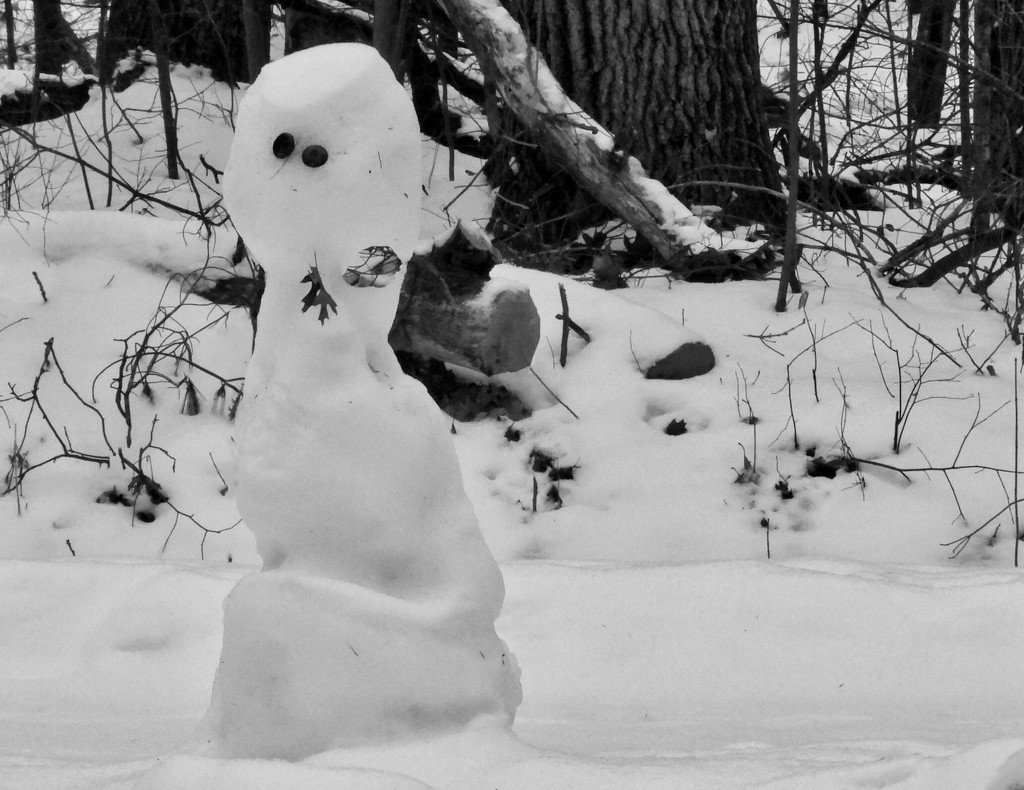 Snowman by amyk