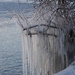 Nature's Ice Sculpture 1 by selkie