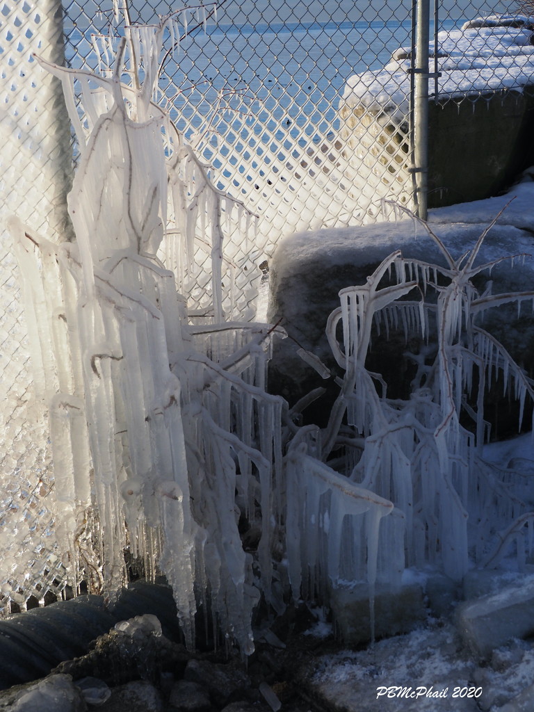 Nature's Ice Sculpture 1 by selkie