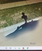 4th Feb 2020 - Google Street view shadow