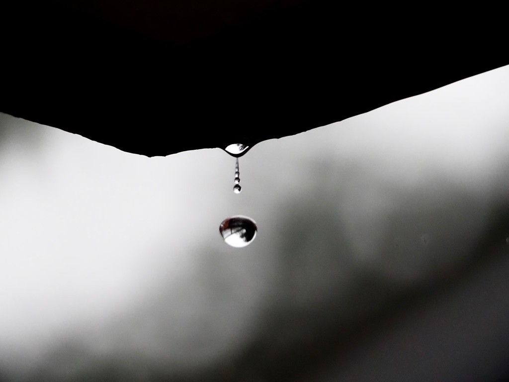 Raindrop.. by rosie00