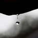 Raindrop.. by rosie00