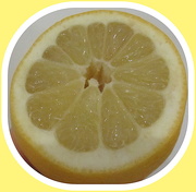 10th Feb 2020 - A lemon.
