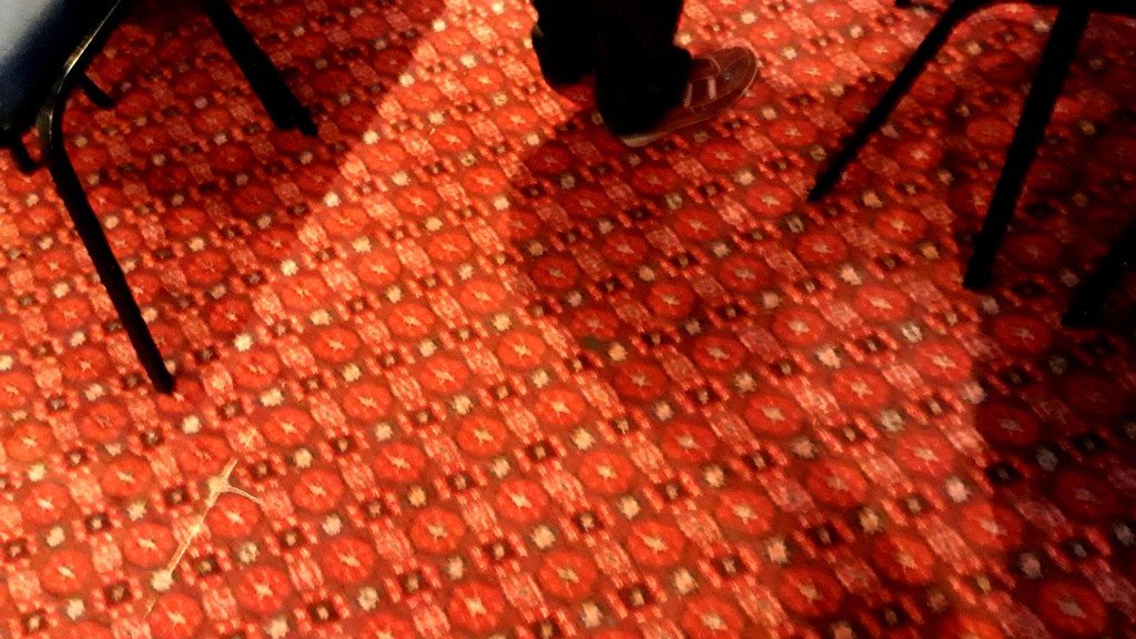 A deliberate photograph of the floor by speedwell