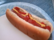 9th Jan 2011 - Hot Dog lunch 1-9