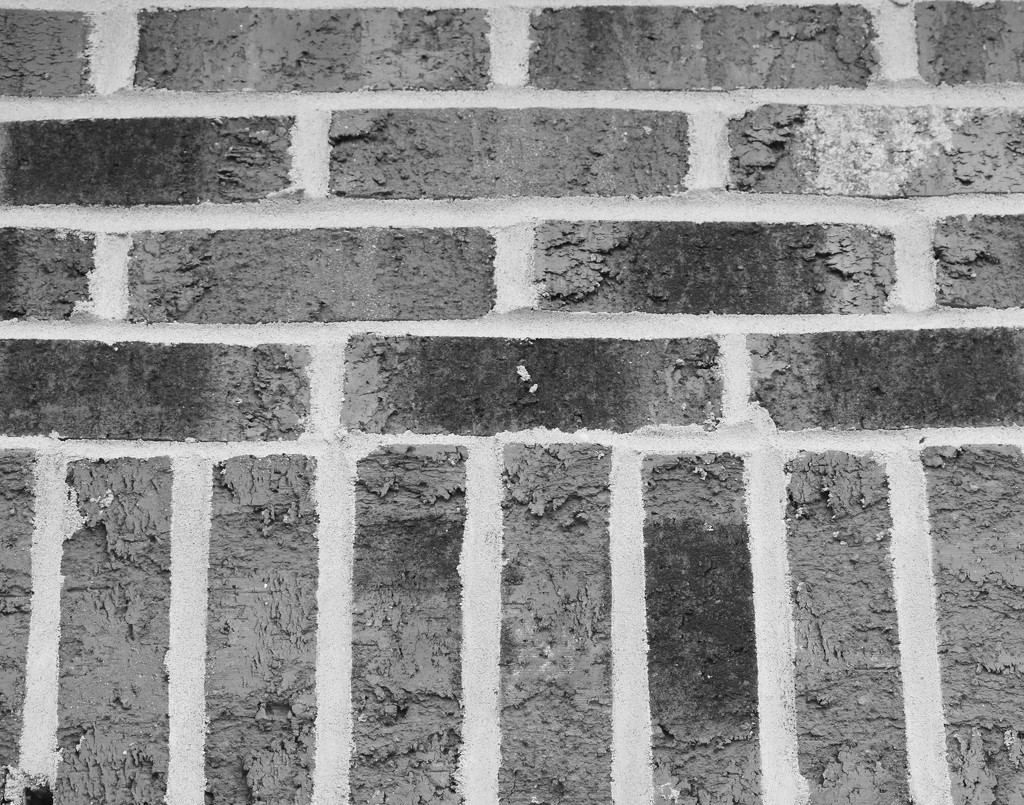 B&W brick from Brick City USA! by homeschoolmom