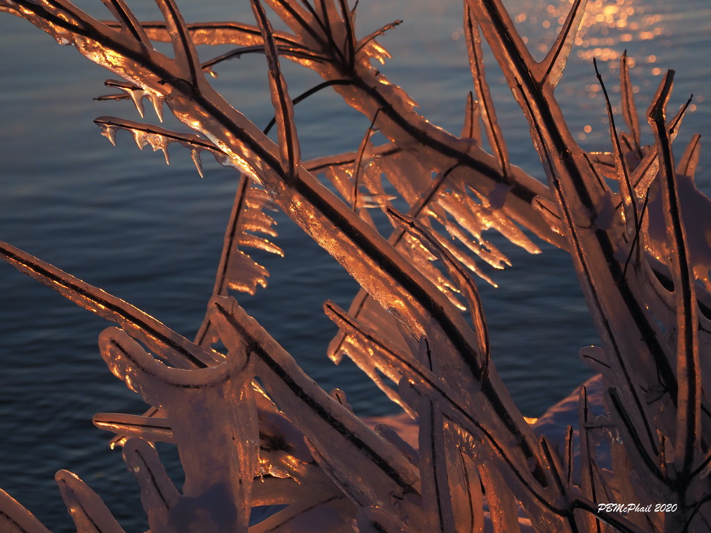 Sun-lit Ice Sculptures 1 by selkie