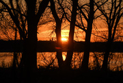 9th Feb 2020 - Sun Sets Over Water and Woods