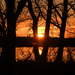Sun Sets Over Water and Woods by kareenking