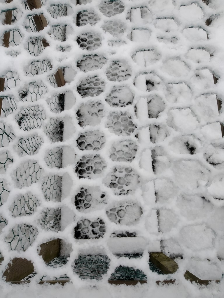 hexagon snow by brennieb