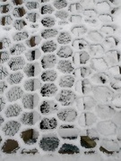 11th Feb 2020 - hexagon snow