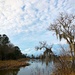 Scene at Magnolia Gardens on a recent afternoon. by congaree