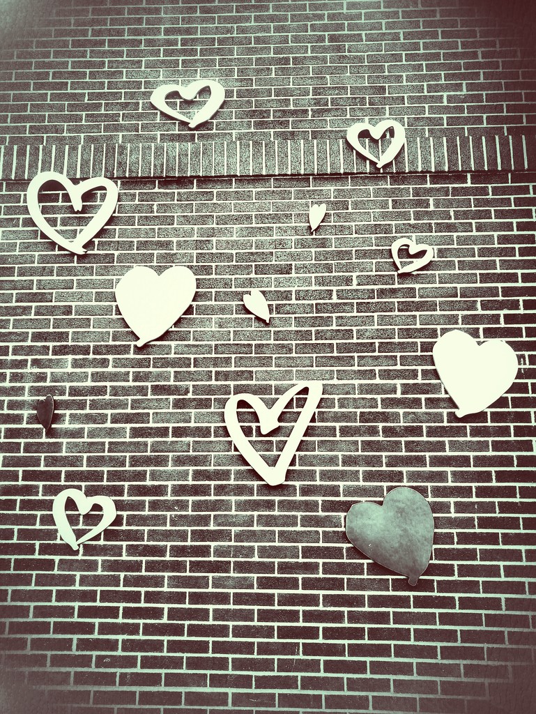 wall of hearts by edorreandresen