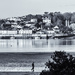 Appledore by pamknowler