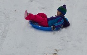 12th Feb 2020 - Playing In The Snow.