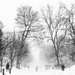 Snow Storm by sprphotos