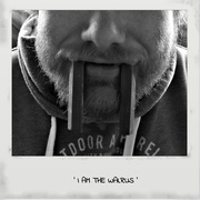 12th Feb 2020 - I am the walrus!