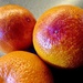 Blood Oranges by lellie