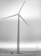 12th Feb 2020 - Sycronized Windmills 