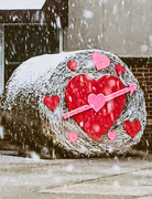 12th Feb 2020 - Hearts and Snow