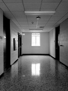 11th Feb 2020 - Hallway