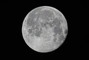 10th Feb 2020 - Full moon