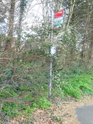 13th Feb 2020 - Bus Stop Somewhere In The Undergrowth