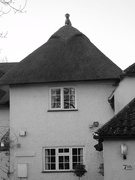 13th Feb 2020 - Another thatched property for FOR2020