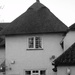 Another thatched property for FOR2020 by 365anne