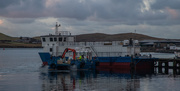 13th Feb 2020 - Scalloway Harbour