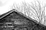 13th Feb 2020 - Textures in Black and White