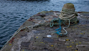 14th Feb 2020 - Ropes