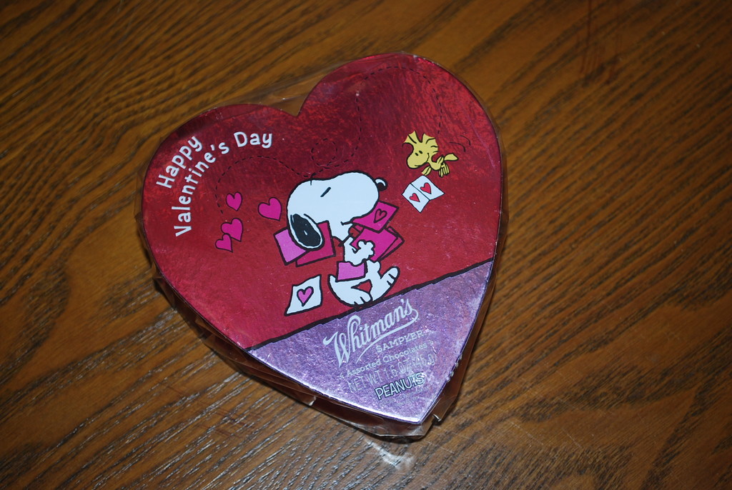 Happy Valentines Day by stillmoments33