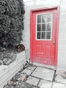 14th Feb 2020 - I see a red door