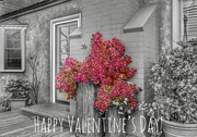 14th Feb 2020 - Happy Valentine’s Day!