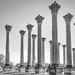 Capitol columns by jernst1779
