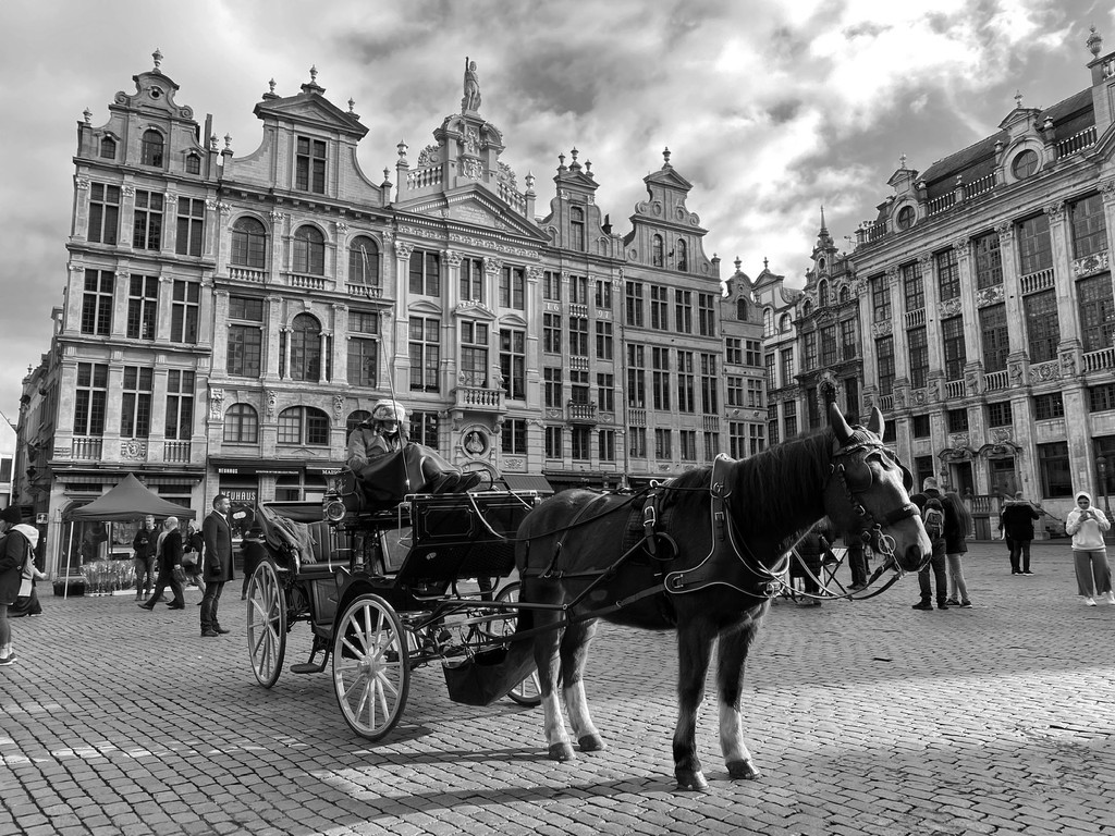 Brussels Grand Place  by bizziebeeme