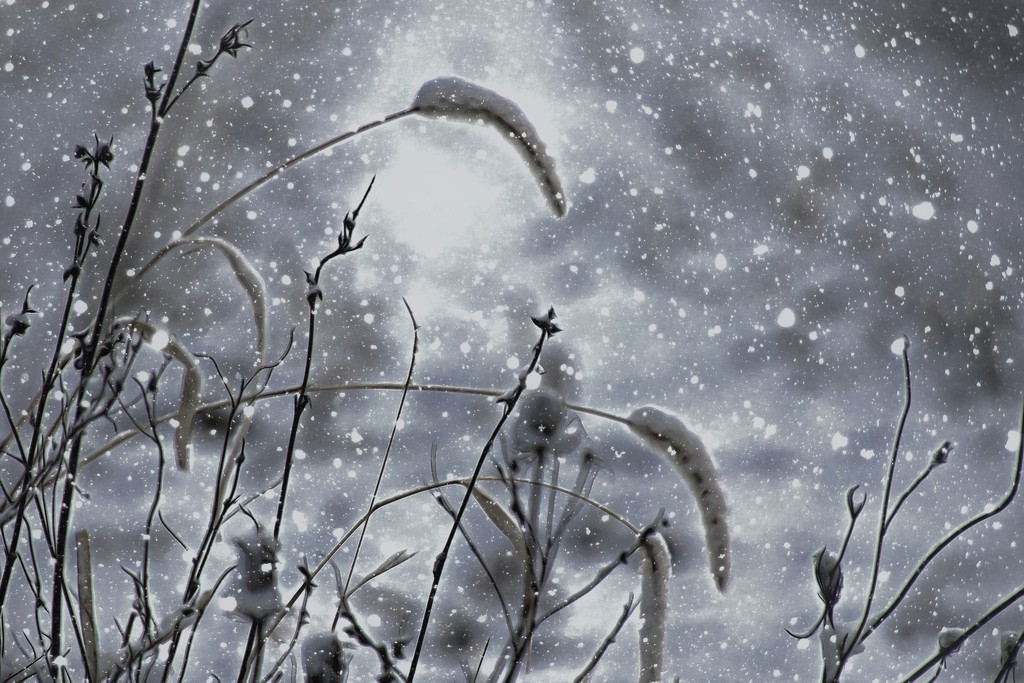 Winter Weather ETSOOI by lynnz