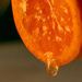 Juicy lusciousness of a tangerine by theredcamera