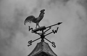 16th Feb 2020 - A Glimpse of my Everyday - The Weather Vane