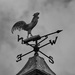 A Glimpse of my Everyday - The Weather Vane by jamibann