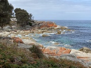 14th Feb 2020 - Bay of Fires