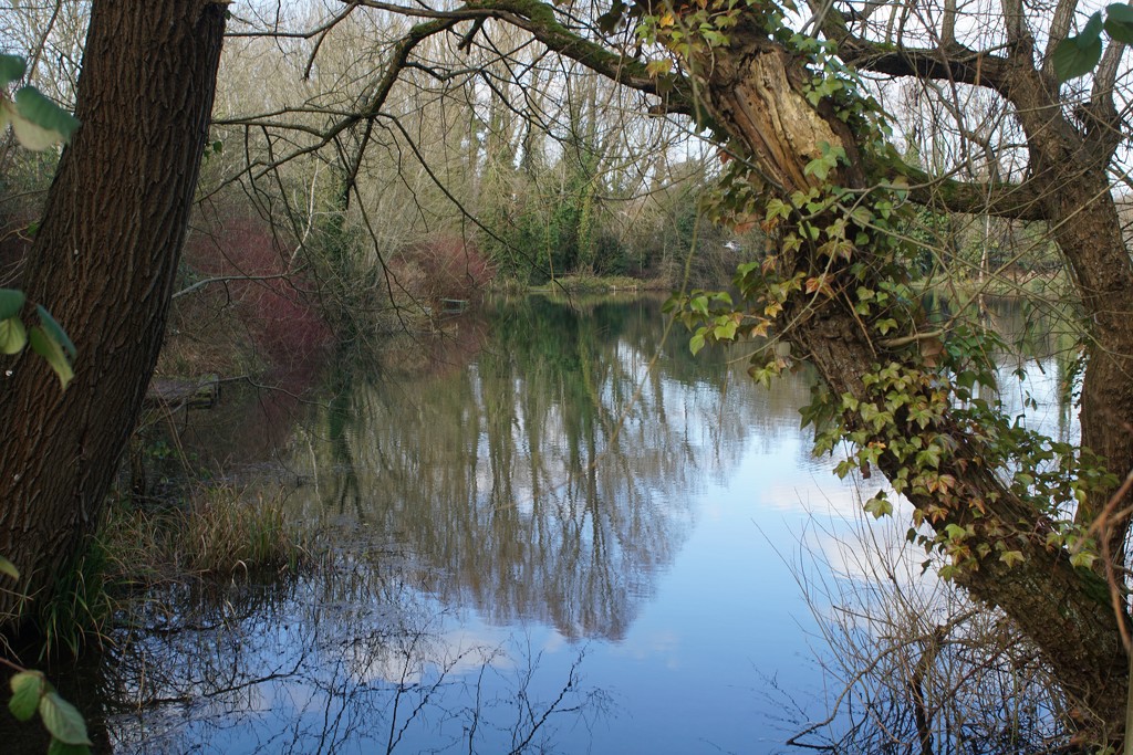a walk around South Pond  by quietpurplehaze