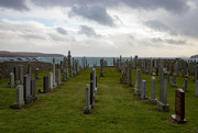 16th Feb 2020 - Graveyard