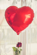 14th Feb 2020 - Happy Valentine's Day! :)